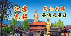 美穴15p江苏无锡灵山大佛旅游风景区
