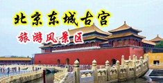 免费观看视频被大鸡巴草中国北京-东城古宫旅游风景区